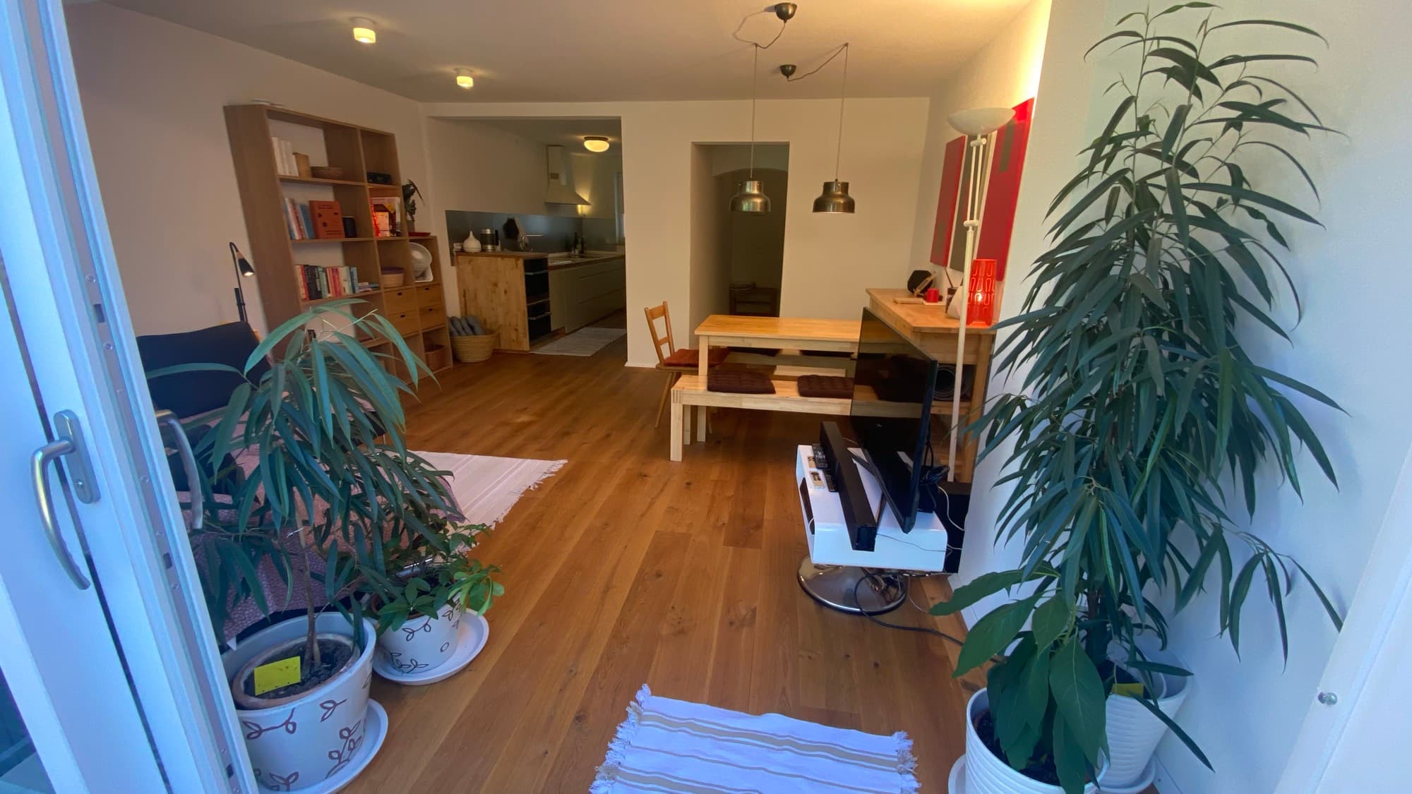 Sala y comedor